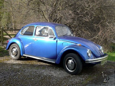 Volkswagen_1972_Beetle_1200_1.jpg