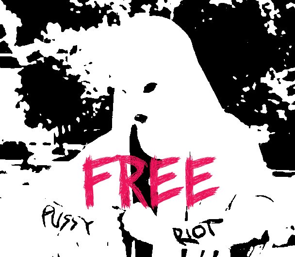 Pussy_Riot_69.jpg