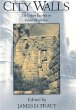 City Walls : The Urban Enceinte in Global Perspective (Studies in Comparative Early Modern History)