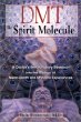 DMT: The Spirit Molecule: A Doctors Revolutionary Research into the Biology of Near-Death and Mystical Experiences