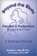 Beyond The Blues: Prenatal and Postpartum Depression, A Treatment Manual