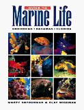 Guide to Marine Life: Caribbean-Bahamas-Florida