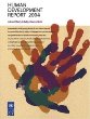 Human Development Report 2004: Cultural Liberty in Todays Diverse World (Human Development Report)