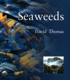Seaweeds (Smithsonian s Natural World Series)