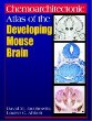 Chemoarchitectonic Atlas of the Developing Mouse Brain