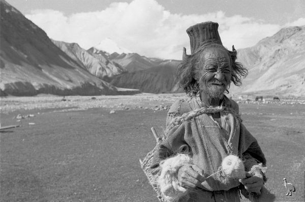 Old_Man_of_Ladakh.jpg