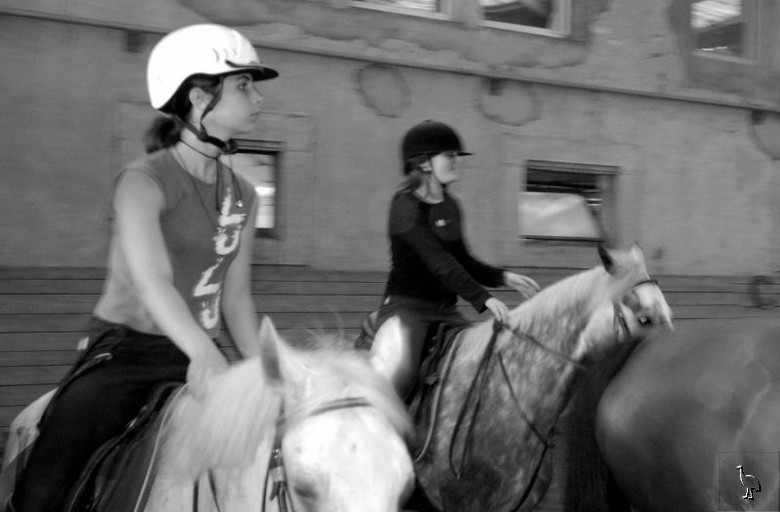 Horse_Riding_Club_DSC_2859.jpg