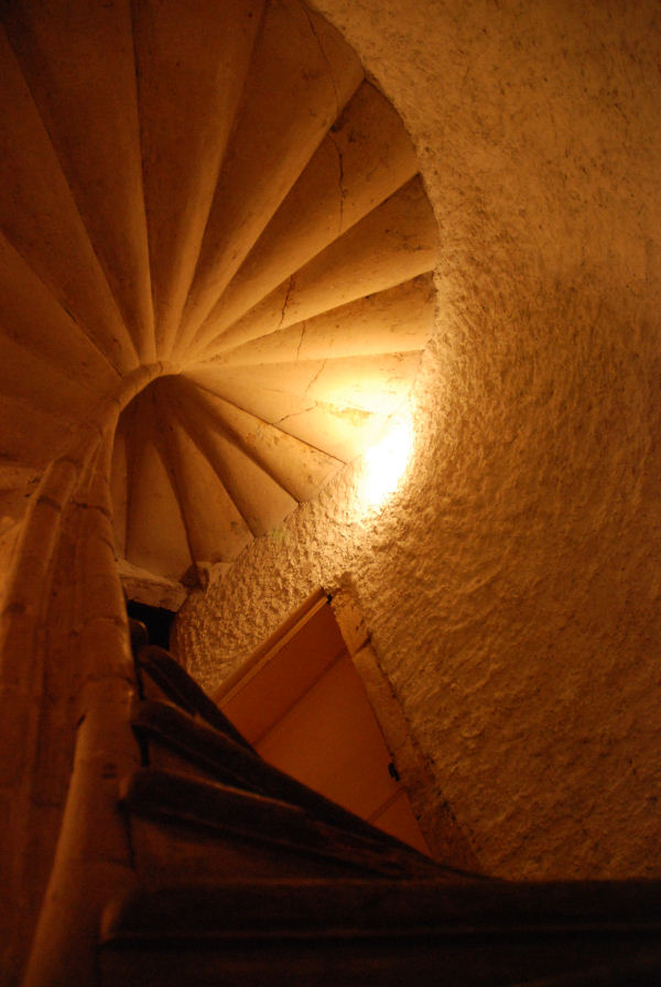 Main_Staircase_ground_floor_looking_up_2.jpg