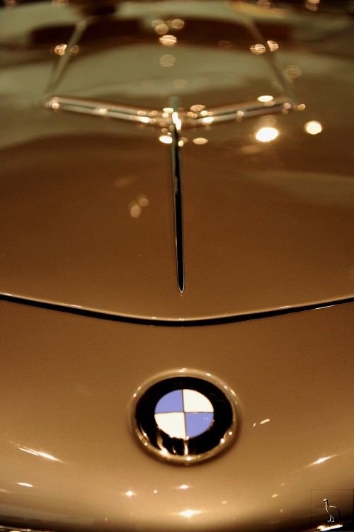 BMW_1956_507_1.jpg