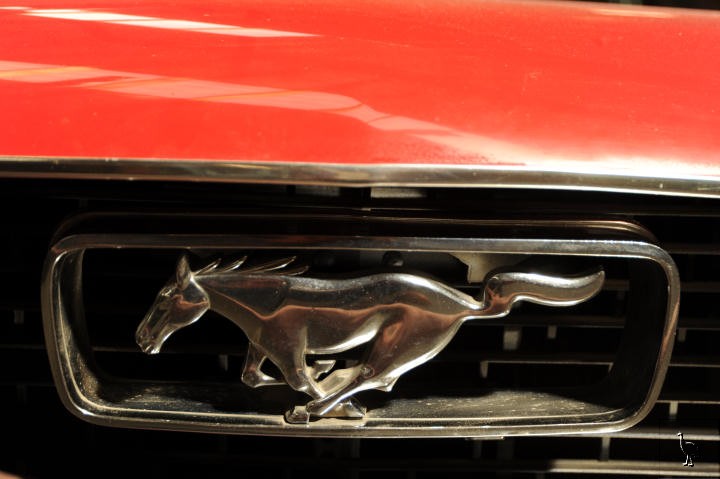 Ford_Mustang_6785.jpg