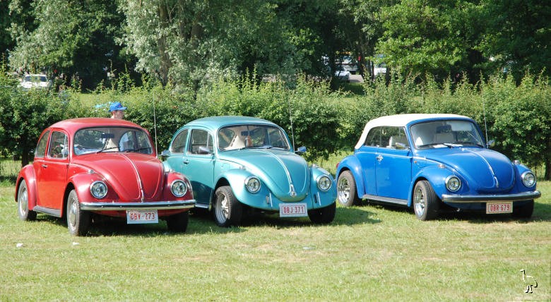 VW_Beetle_trio_2480.jpg