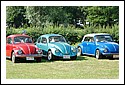 VW_Beetle_trio_2480.jpg