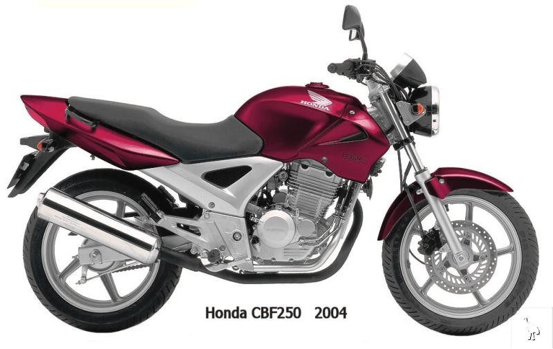 Honda_2004_CBF250.jpg