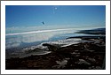 Dimona-Gulf-of-Carpentaria-2007.jpg
