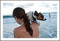 Girl with Dog, Byron Bay