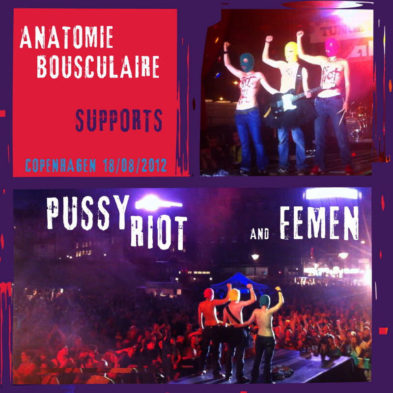 Pussy_Riot_Anatomie_Cousculaire.jpg