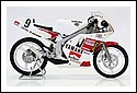 Yamaha_1988_50cc_Racer_1.jpg