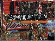 Symphonic Poem : The Art of Aminah Brenda Lynn Robinson