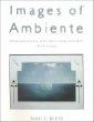 Images of Ambiente: Homotextuality and Latin American Art, 1810-Today