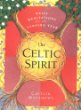 The Celtic Spirit : Daily Meditations for the Turning Year