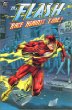 The Flash: Race Against Time!