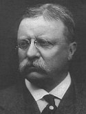 a&e biography theodore roosevelt