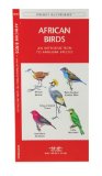 African Birds: An Introduction to Familiar Species (A Pocket Naturalist Guide)
