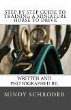 Step By Step Guide to Training A Miniature Horse To Drive