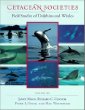 Cetacean Societies : Field Studies of Dolphins and Whales