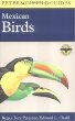 A Field Guide to Mexican Birds : Mexico, Guatemala, Belize, El Salvador
