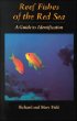 Reef Fishes of the Red Sea: A Guide to Identification