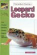 The Guide to Owning a Leopard Gecko