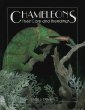 Chameleons: Their Care and Breeding