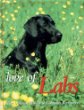 Love of Labs: The Ultimate Tribute to Labrador Retrievers (Petlife Library)