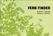 Fern Finder: A Guide to Native Ferns of Central and Northeastern United States and Eastern Canada