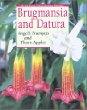 Brugmansia and Datura: Angels Trumpets and Thorn Apples