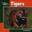 Tigers (Our Wild World)