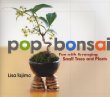 Pop Bonsai: Fun With Arranging Small Trees and Plants