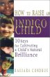 How to Raise an Indigo Child: 10 Keys for Cultivating a Childs Natural Brilliance