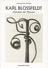 Karl Blossfeldt: Alphabet der Pflanzen ([Magier der Kamera]) (German Edition)