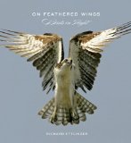 On Feathered Wings: Birds in Flight