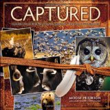 Captured: Lessons from Behind the Lens of a Legendary Wildlife Photographer (Voices That Matter)