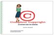 Complete Copyright: An Everyday Guide For Librarians