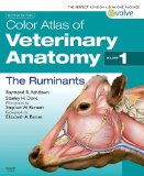 Color Atlas of Veterinary Anatomy, Volume 1, The Ruminants