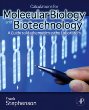 Calculations for Molecular Biology and Biotechnology: A Guide to Mathematics in the Laboratory