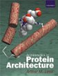 Introduction to Protein Architecture: The Structural Biology of Proteins