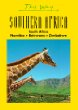 This Way Southern Africa: South Africa, Namibia, Botswana, Zimbabwe (Richtung)